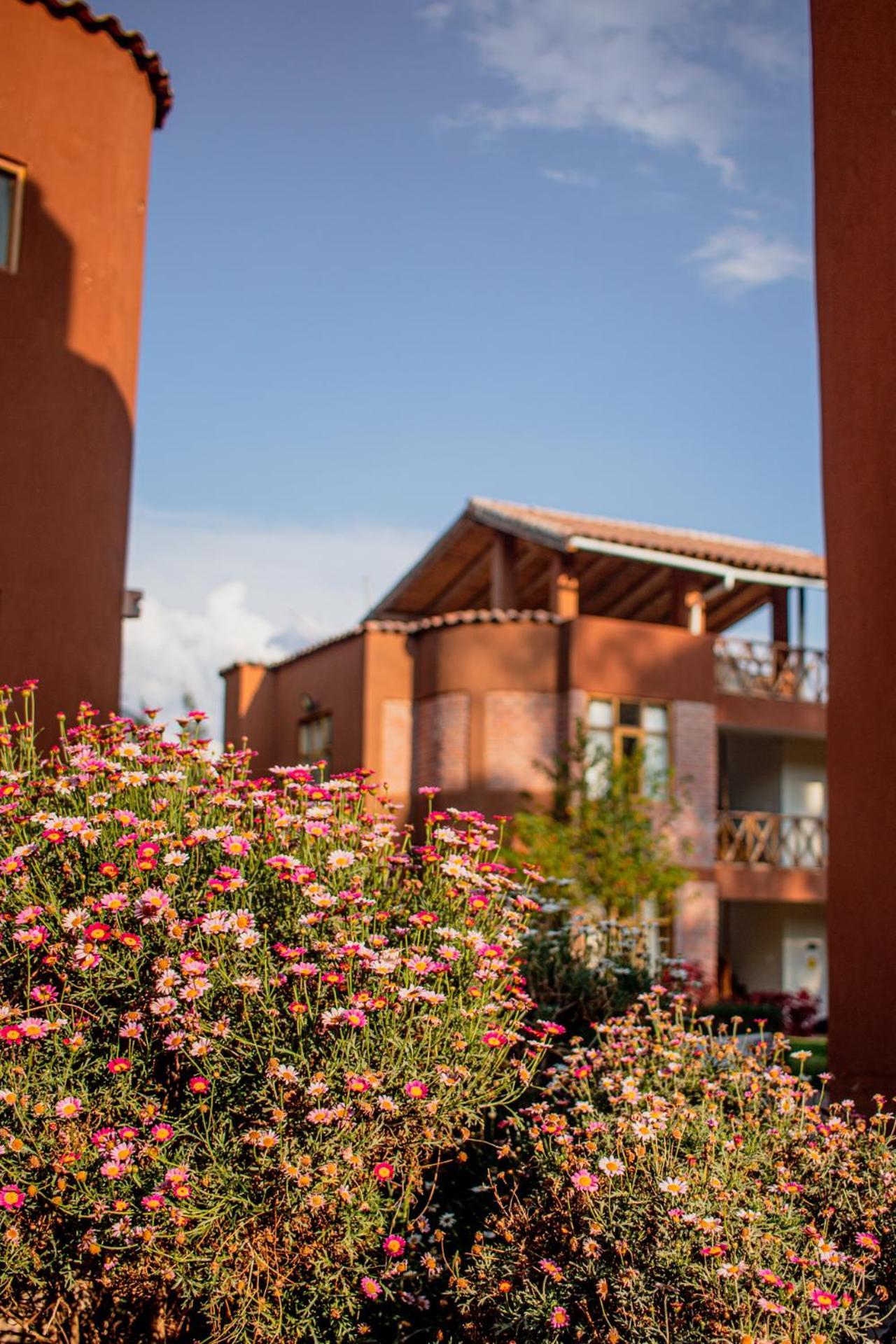 Allin Illary Eco Hospedaje Urubamba Ngoại thất bức ảnh